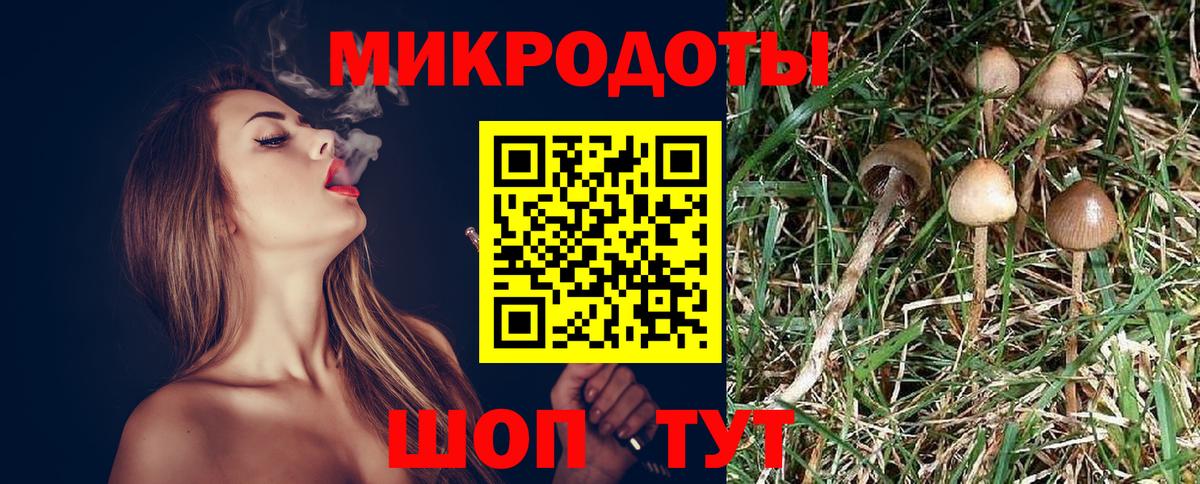 где можно купить   Псилоцибиновые грибы ЛСД  Галлюциногенные грибы MAGIC MUSHROOMS  Вход с VPN  Ялта 
