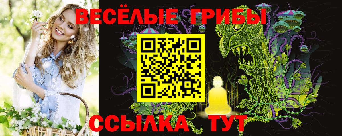 Псилоцибиновые грибы прущие грибы Ялта